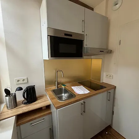 Louis Premier Et Second Centre Un Sejour A Part Διαμέρισμα Μετς