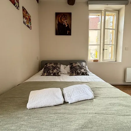 Apartamento Louis Premier Et Second Centre Un à Part