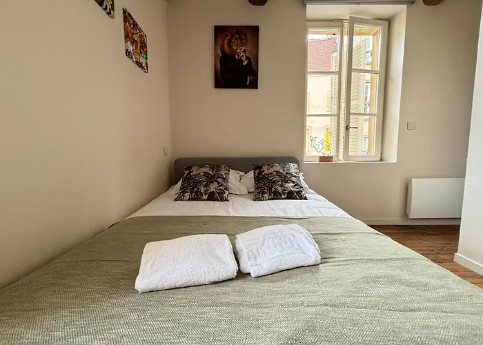 Διαμέρισμα Louis Premier Et Second Centre Un Sejour A Part