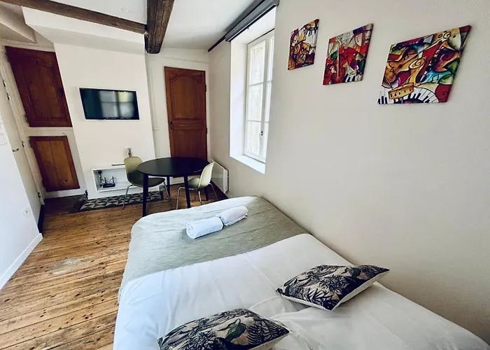 Louis Premier Et Second Centre Un Sejour A Part 아파트 *