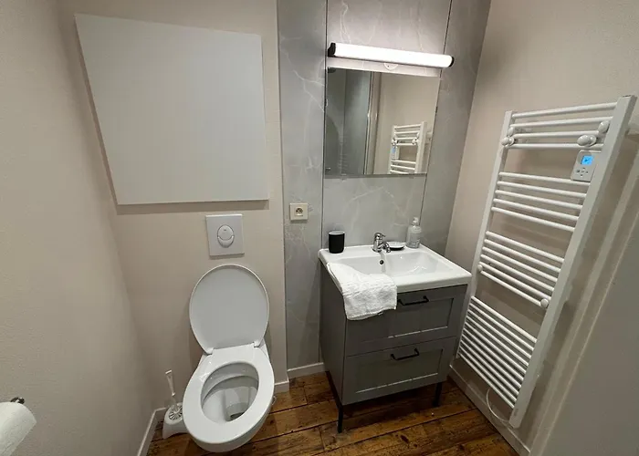 Louis Premier Et Second Centre Un Sejour A Part Διαμέρισμα Μετς